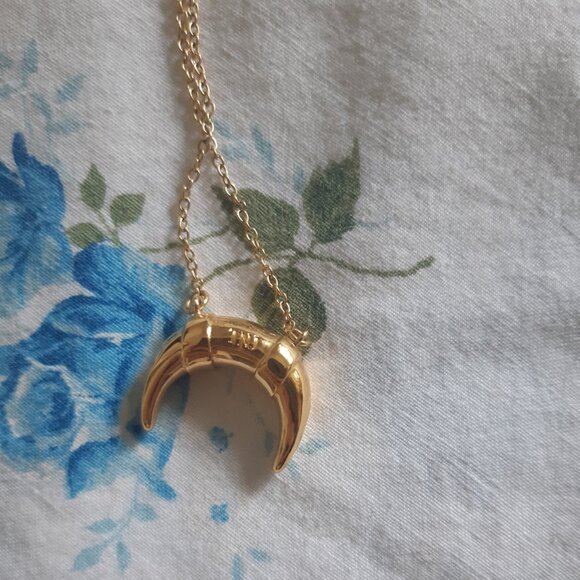Gold-Plated Horn Necklace - Picture 3 of 4